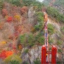 단풍세탁소 이미지