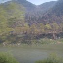 곡성체육관 이미지