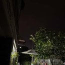 용산-이촌-961 네이버블로그