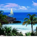 나의 창 이미지