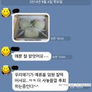 칠갑산착한농부 | [마감][칠갑산 머스크 메론공구1차]맛있는 이얼스 메론!!3-4개 8kg이상(9/26~28)