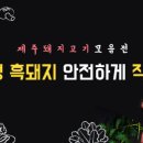 ㈜월드렌트카 이미지