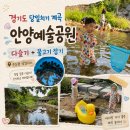 예술공원 주차장 공중화장실 | 경기도 계곡 당일치기｜안양예술공원 물놀이 아이랑 다슬기·물고기 잡기
