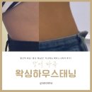 썬애니멀크리닉 | 발산역 태닝, 발산 태닝은 왁싱하우스태닝 마곡점! 태닝 초보는 꼭 베이스부터!(43핀파워태닝 베이스 6...