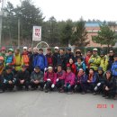 솔향기공원 이미지