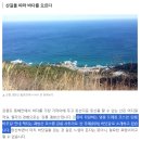 [최동열의 요산요설(樂山樂說)] 16. ‘산 위의 바닷길’, 강릉 괘방산 이미지