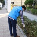 더(the)큰병원 이미지