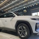 차 닦는 신사 이미지