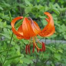 노루목산장 이미지