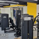 렙콘컴퍼니 | 펜듈럼스쿼트 레버리지스쿼트 렙콘컴퍼니 스쿼트머신 후기영상을 통한 특징소개