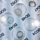 글라스미렌즈미 노량진점 이미지