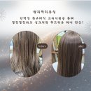 웰리박미용실 네이버블로그