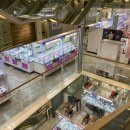 초이스 게임장 이미지