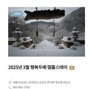 스테이 달(stay 달) 네이버블로그