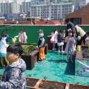 송죽초교 병설유치원 이미지