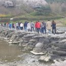 진천군 농다리 이미지