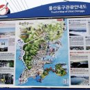 [주전마을]대왕암공원,울기등대 네이버블로그