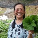 박정자농장 이미지