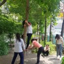 도봉초병설 이미지