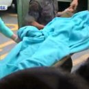 임소초