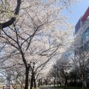 동구리 저수지 위 공원 이미지