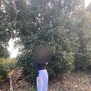 류은주택 이미지