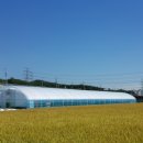 수인농장 이미지