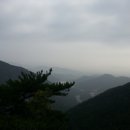 플러스피티 이미지