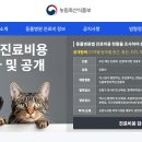 위즈동물병원 티스토리