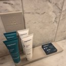 호텔에덴(Hotel Eden) | [독일 11월] EDEN HOTEL WOLFF(에덴 호텔 볼프) 투숙 후기 / 뮌헨 기차역(중앙역) 근처 숙소