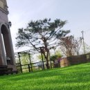 자라스파펜션 이미지