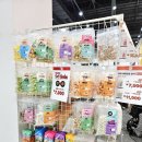 펫소울메이트 | 뭐 했는지 기억은 잘 안 나지만 바빴던 3월 기록