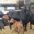 이천제이농장 이미지