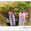 반야어린이집 이미지