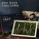 삼모아