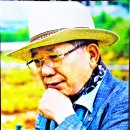 자세히 보아야 예쁘다 이미지