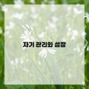 소설 쓰기의 첫걸음 이미지