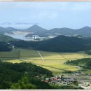 신경자 이미지