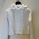 까멜리아 이미지