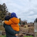 도훈목장 이미지