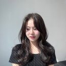 풍성란