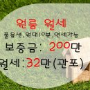 2019038 이미지