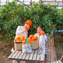 자유주유소 | 제주 자유 렌트카 완전자차 제주도 렌트카 예약 후기