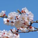 문일농장 이미지