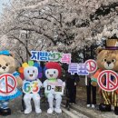 대구광역시선거관리위원회 이미지