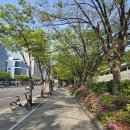 연극 용주씨는 왜그랬을까? | ①ⓞ 즐거움이란 당신의 웃는 얼굴을 기다리는 일