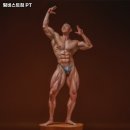 팀비스트