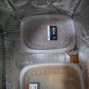 현관앞키친 | 퇴근하고 밥 차리기 싫다면 이거 보세요 | 현관앞키친 반찬 구독 내돈내산 후기
