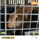 신영재동물병원 이미지