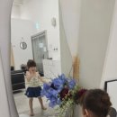 너는꽃